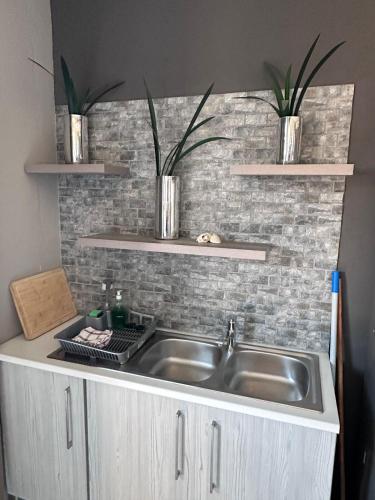 a kitchen sink with two plants on a brick wall at Adventure Apartment - Addo Elephant Park South Entrance only 5km in Colchester