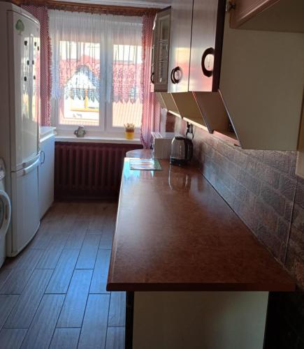 a kitchen with a counter top and a refrigerator at Hel - Apartament in Hel
