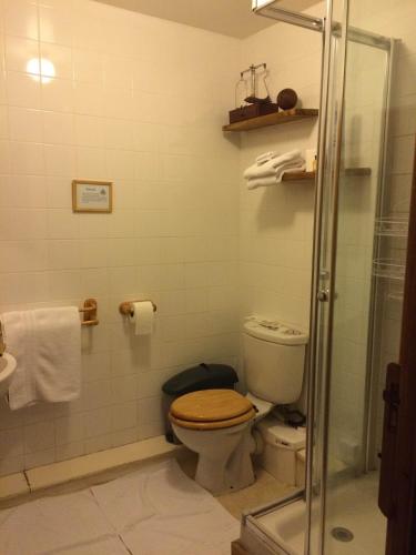 a bathroom with a toilet and a shower at The White Horse Inn, Clun in Clun