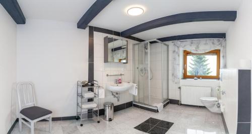 a bathroom with a sink and a toilet at Hauser Hof Grübl in Waldkirchen