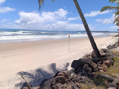 Naturlandskabet i nærheden af lejligheden