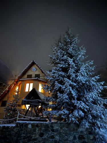 Pensiunea Pusu im Winter