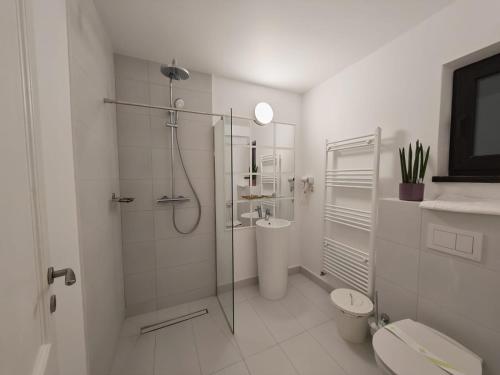 een witte badkamer met douche en toilet bij Zodia Craiului in Peştera