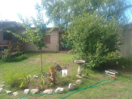 ein Garten mit einem Baum und einem Gartenschlauch in der Unterkunft Depto Calamuchita Rumipal in Villa Rumipal