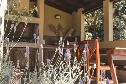 Een tuin van Casa de Buda Chapadmalal