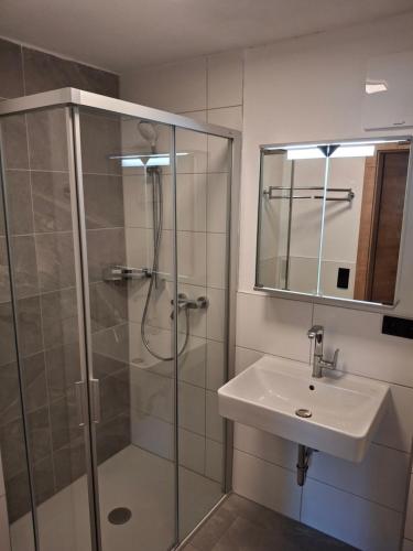 een badkamer met een douche en een wastafel bij Appartment Tobias in Radstadt