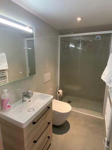 a bathroom with a shower and a sink and a toilet at Cozy ground floor apartment in Xonrupt-Longemer