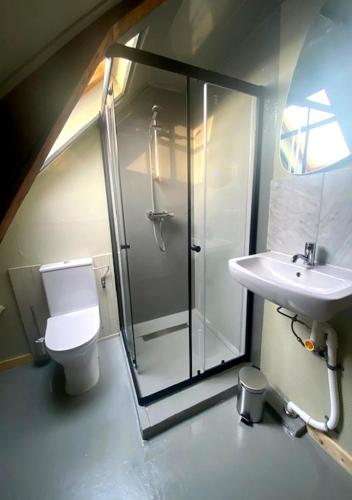 a bathroom with a shower and a toilet and a sink at Het Ambachtshuis Warffum in Warffum