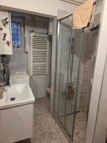 a bathroom with a shower and a sink at Apartment SOFI Novi Travnik in Novi Travnik