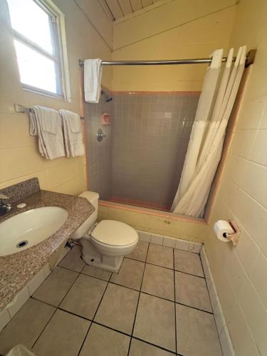 een badkamer met een toilet, een wastafel en een douche bij Royal inn in Quincy