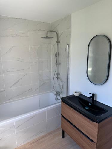 Koupelna v ubytování Jolie maison au calme de l'orée de sologne