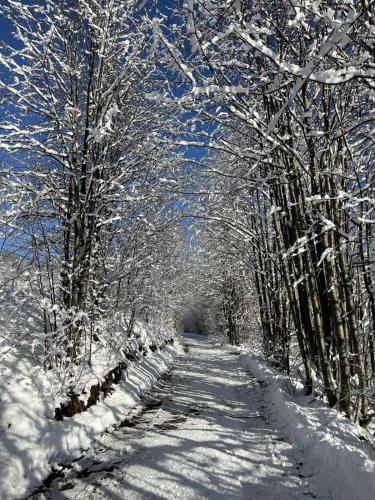 Domek pod lasem om vinteren