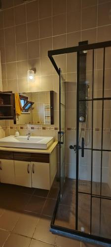 a bathroom with a shower and a sink at MyHomeSapanca in Sapanca