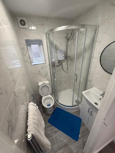a bathroom with a shower and a toilet and a sink at Entire Apartment Bright & Spacious with Private Garden Near Victoria Park in London