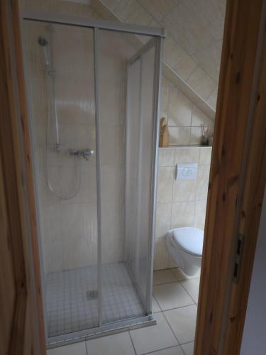 a bathroom with a shower and a toilet at Haus am Stausee in Altenbeuthen