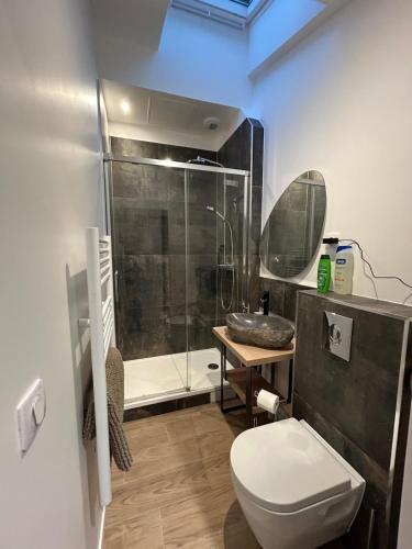 a bathroom with a shower and a toilet and a sink at Solar Dream - close to Disney in Lagny