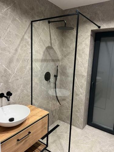 a bathroom with a sink and a shower at Cottages Shepit Lisu New in Myta