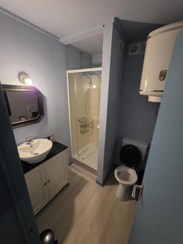 a bathroom with a toilet and a sink and a shower at L'Orée du bois in Membre