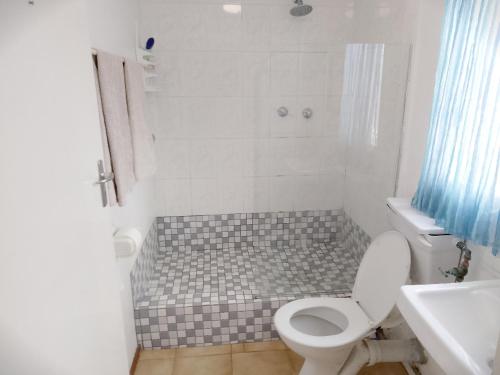 un bagno con doccia, WC e lavandino di Fisherhaven Guest House a Hermanus