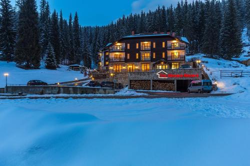 a large house in the snow at night at Alenik Private Apartment -Pamporovo in Pamporovo
