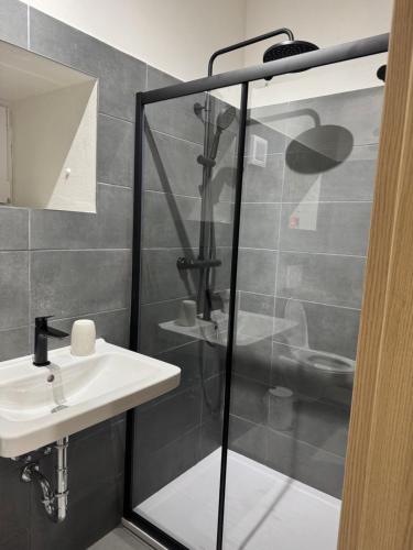 een badkamer met een douche en een wastafel bij Ubytování U Mecha 