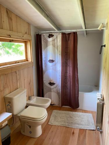 a bathroom with a toilet and a shower and a sink at Casa cerca del lago in Lago Puelo