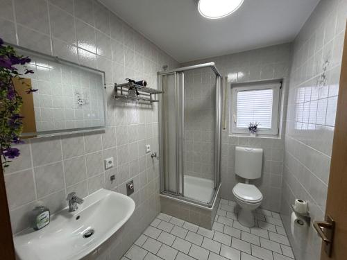 een badkamer met douche, toilet en wastafel bij Ferienwohnungen zur Elsa in Waldeck
