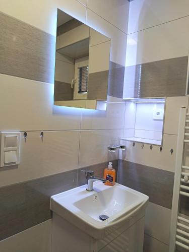 a bathroom with a sink and a mirror at Chata Kubko in Bobrovník