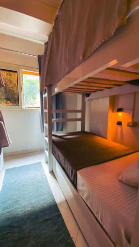 a bedroom with two bunk beds with a green rug at Jme Bunks Hostel in Aswān