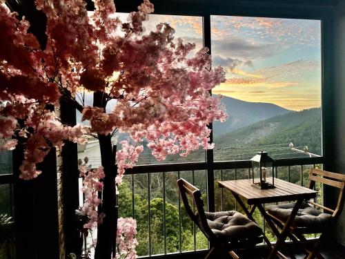 a room with a window with a tree with pink flowers at Love, made in xisto in Piódão
