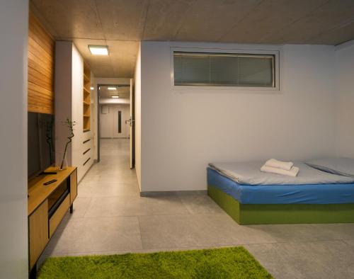 een slaapkamer met een bed en een televisie en een hal bij Apartment Brno-Lesná 