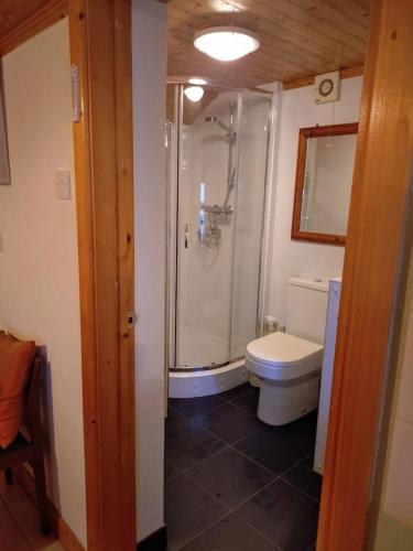 a bathroom with a shower and a toilet at The Haven in Trewen