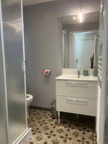 ein Badezimmer mit Waschbecken, Toilette und Spiegel in der Unterkunft Studio avec grande terrasse in Saint-Valéry-en-Caux