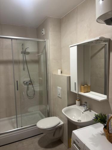 a bathroom with a shower and a toilet and a sink at Apartman MARIJA in Pale