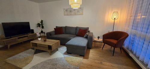 a living room with a couch and a tv at Appartement cosy a Erlach - Lac de Bienne in Erlach