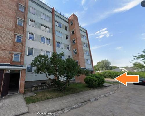 an apartment building with a tree in front of it at Barons Street Apartment in Dobele