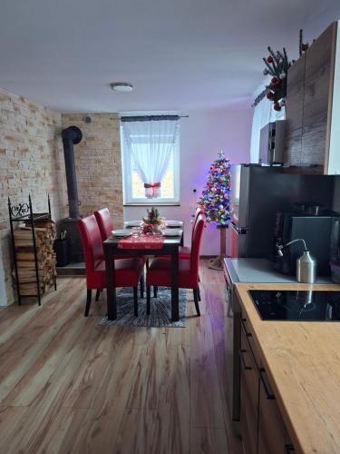 Køkken eller tekøkken på Idzikowianka