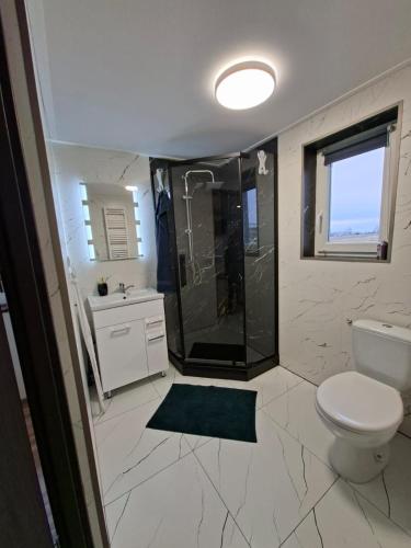 a bathroom with a shower and a toilet and a sink at Idzikowianka in Idzików