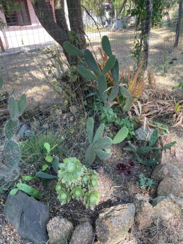 Ảnh trong thư viện ảnh của La casa de piedra ở Jaureguiberry