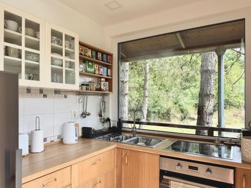 a kitchen with a sink and a window at 4borovice in Velká Lečice