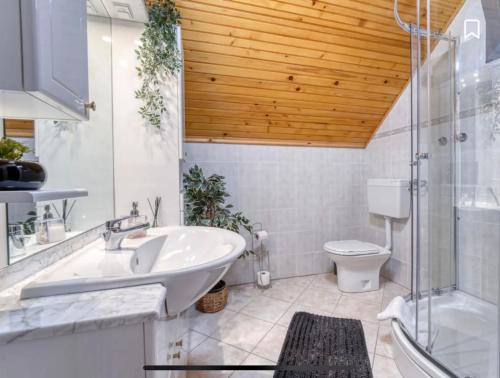 a bathroom with a sink and a toilet and a shower at Kuća za odmor Maklen in Brod Moravice
