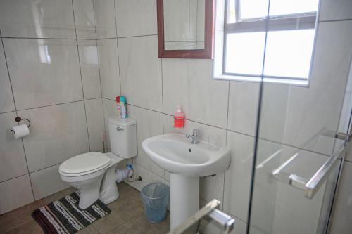 een witte badkamer met een toilet en een wastafel bij 5@Partridge Guesthouse in Newcastle