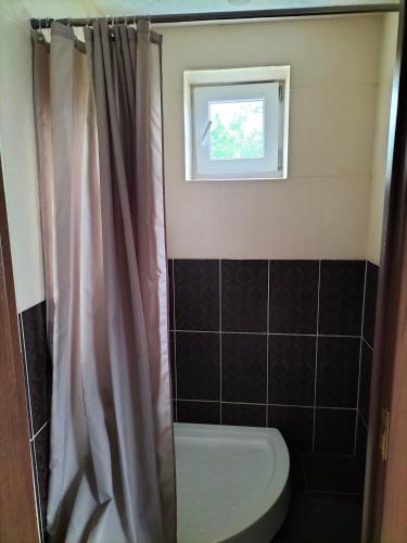 a bathroom with a toilet and a window at Садиба для відпочинку in Vyshka