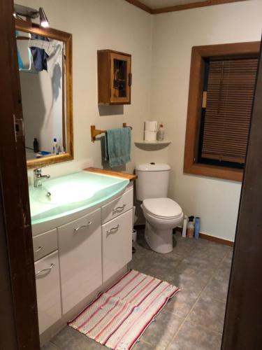 een badkamer met een wastafel en een toilet bij Dragon's den main house in Takaka