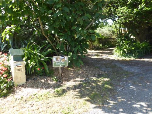 Billede fra billedgalleriet på Dragon's den main house i Takaka