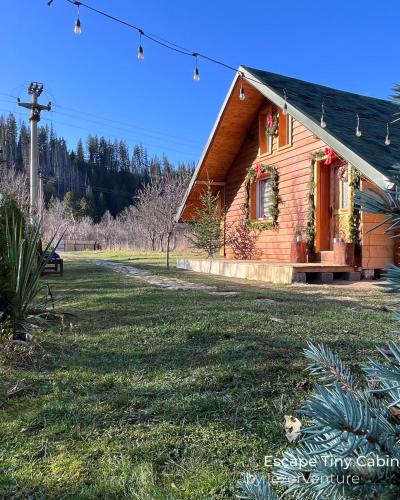 una casa con un cane seduto di fronte di EscapeTinyCabin by IezerVenture a Lereşti