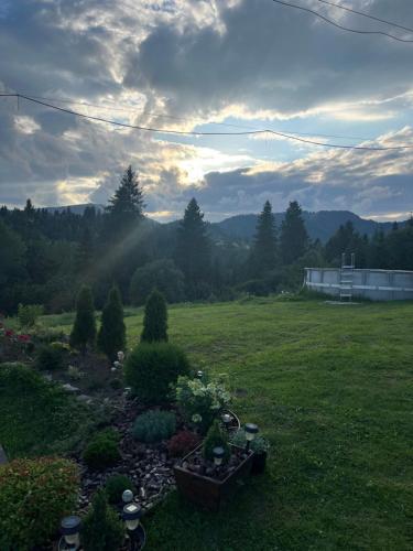 een tuin met bloemen en planten in een veld bij Karpatski Prostory in Slavske