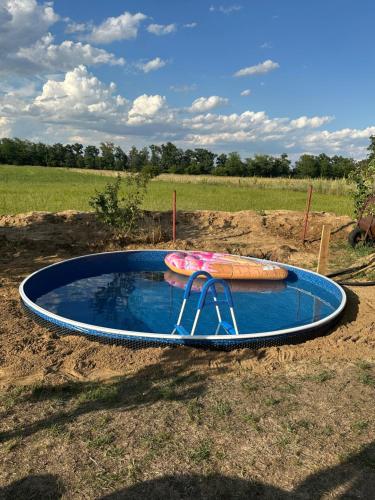 een kleine plas water in het midden van een veld bij Wine & Relax Mezi Sklepy in Valtrovice