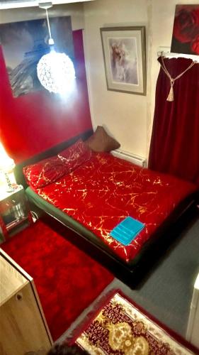a bedroom with a bed with red sheets and red carpet at Red Nest in Coventry