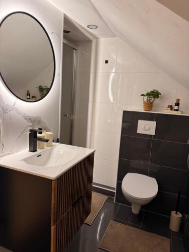 een badkamer met een wastafel, een toilet en een spiegel bij Waldruhe Bad Steben in Bad Steben